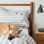 how to tell if you have fleas in your bed