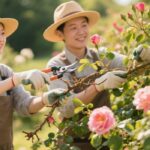 when do you trim back rose bushes