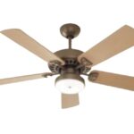 fan makes noise when rotating