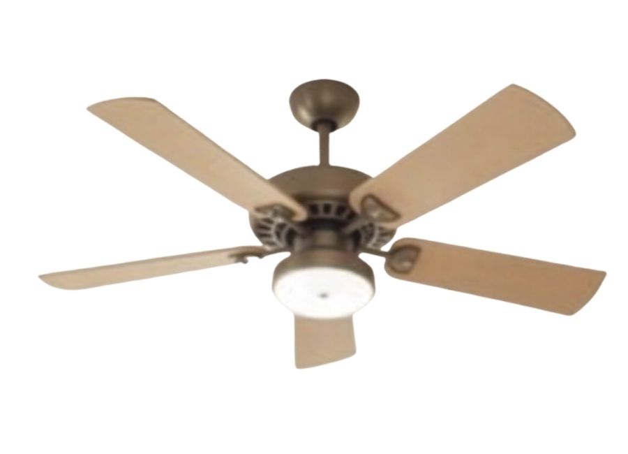 fan makes noise when rotating
