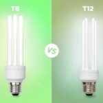 t8 vs t12 bulbs