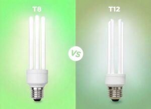 t8 vs t12 bulbs